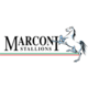 Marconi Stallions