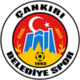 Cankiri Belediyespor